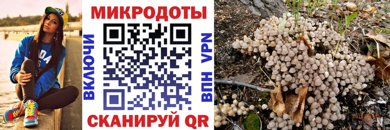 Галлюциногенные грибы Magic Shrooms  Купить закладки  Белёв 